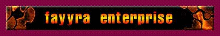 FAYYRA ENTERPRISE