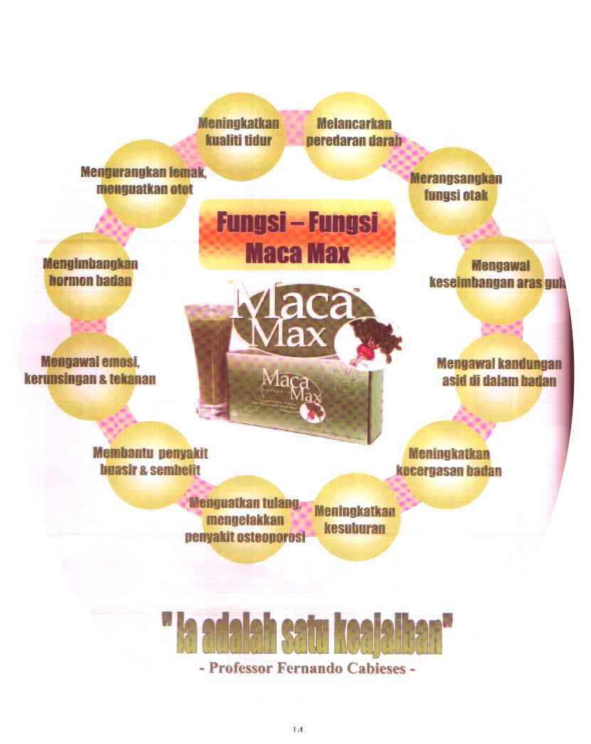 MACAMAXX01